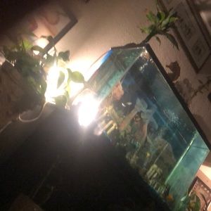 Meet your Posher, Isaiah